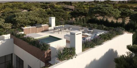 Roof Terrace (1)