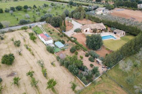 Aerial (2)