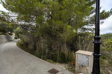 Street View (1)