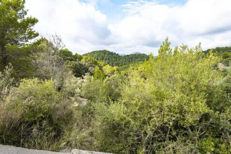 Street View (4)