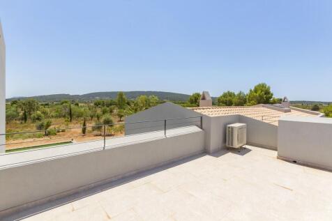 Terrace (2)