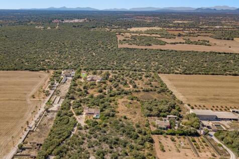 Aerial (5)