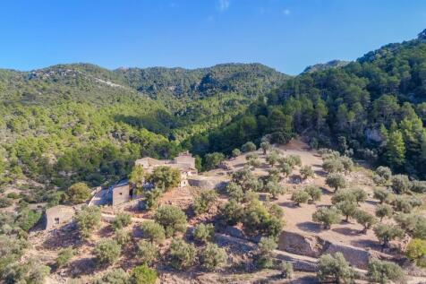 Aerial (12)