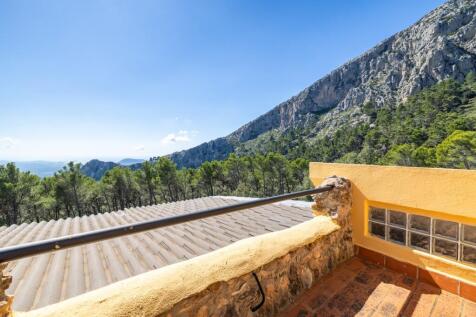 Terrace View