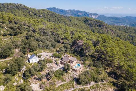 Aerial (3)