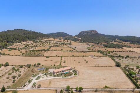 Aerial (1)