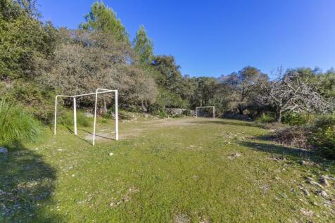 Garden (3)