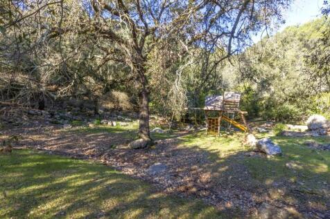 Garden (2)