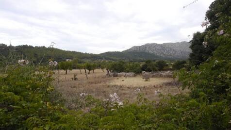 CAN VICENS01_3_Land 