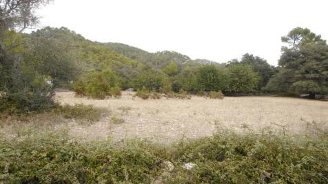 CAN VICENS01_7_Land 