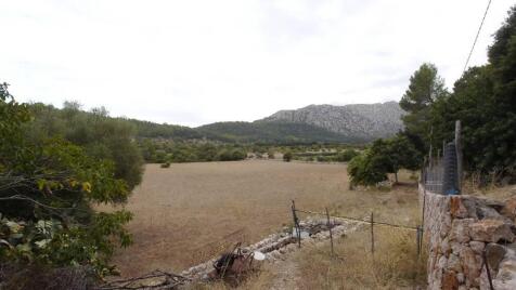 CAN VICENS01_9_P1130