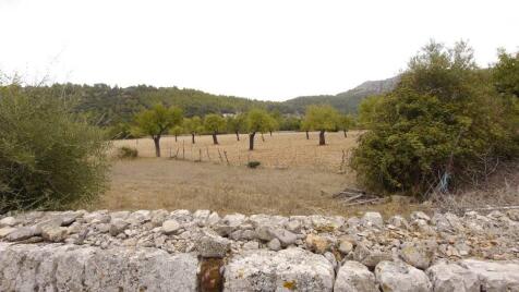 CAN VICENS01_19_P113