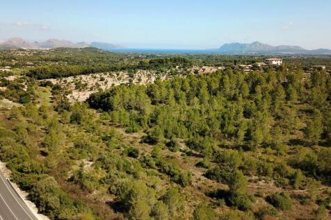 Aerial (4)