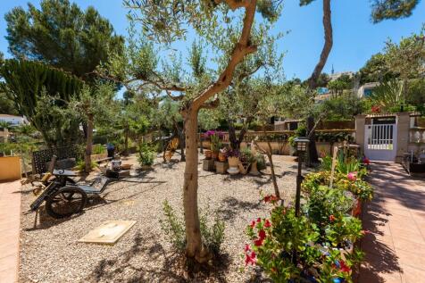 Garden (1)