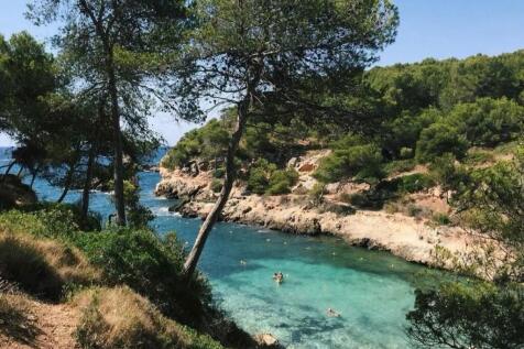 Cap Falco