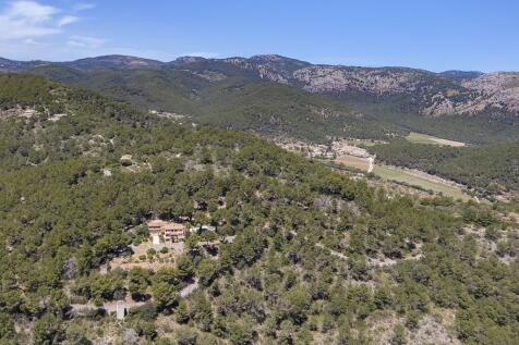 Aerial (7)