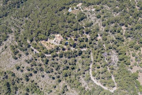 Aerial (5)