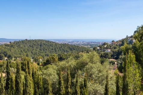 View (3)