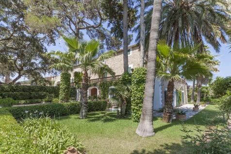 finca (2)