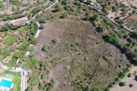 DJI04521