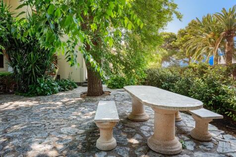 Garden new (2)