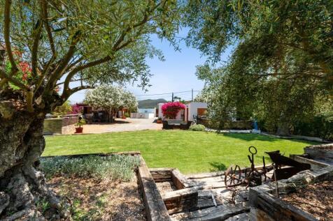 Garden (3)