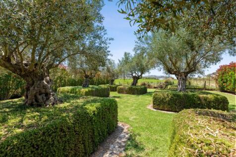Garden (2)