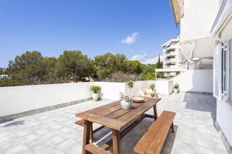 Terrace (4)