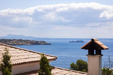 View (2)