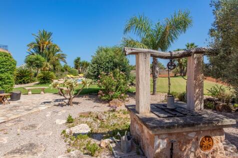 Garden (1)