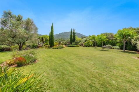 Garden (2)