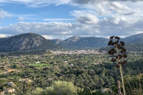 Views (2)