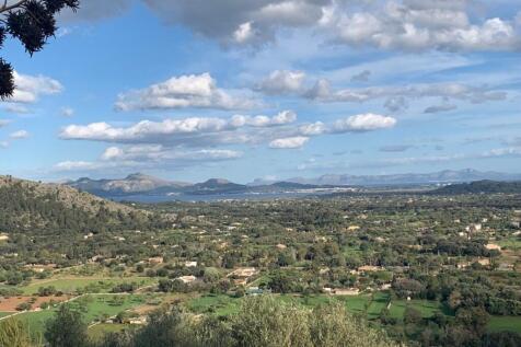 Views (9)