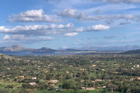 Views (11)