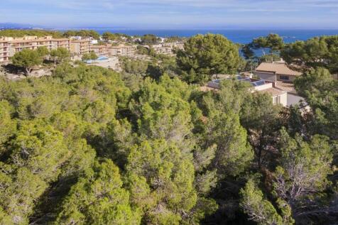 Aerial (7)