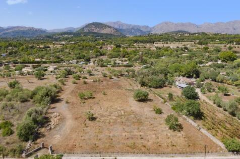 Aerial (2)