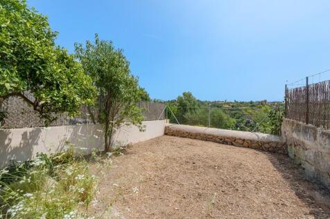 Garden (3)