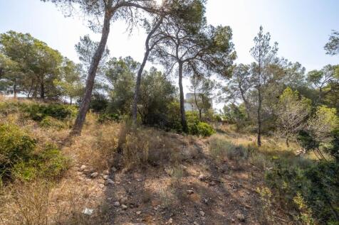 Plot (2)