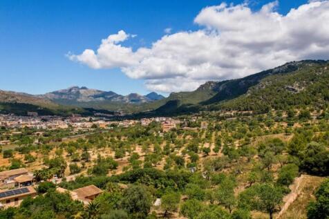 View (3)