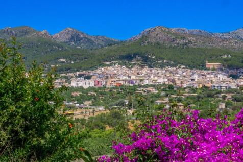 View (6)