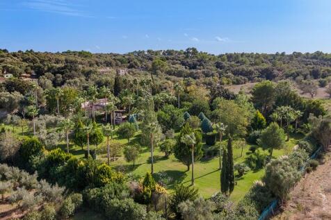 Aerial (2)