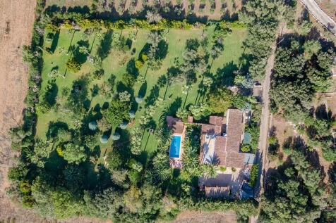 Aerial (6)