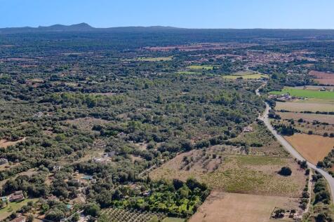 Aerial (3)