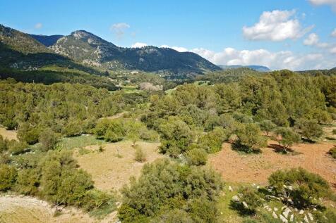 Aerial (2)