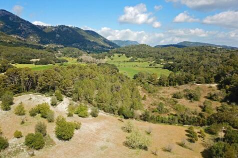 Aerial (4)