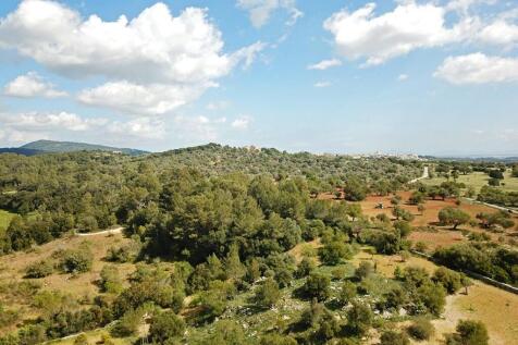 Aerial (3)