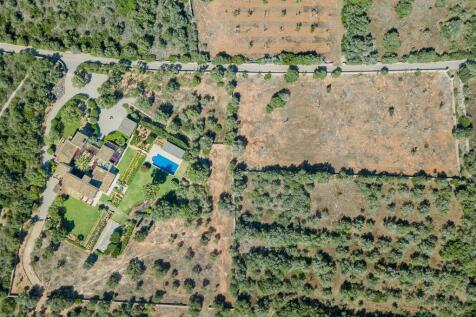 Aerial (1)