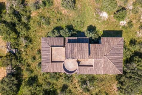 Aerial (1)