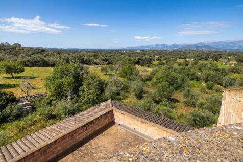 View (2)