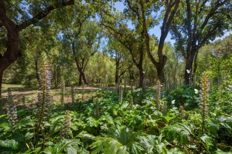 Gardens (4)